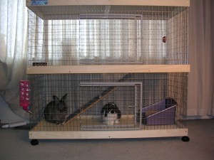 cage